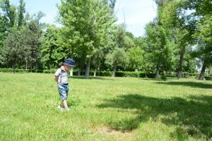 1084751_1068119546550205_1988092750_o